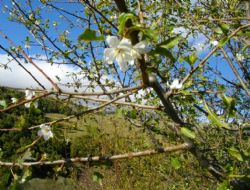 Doğu'da bir günde 4 mevsim